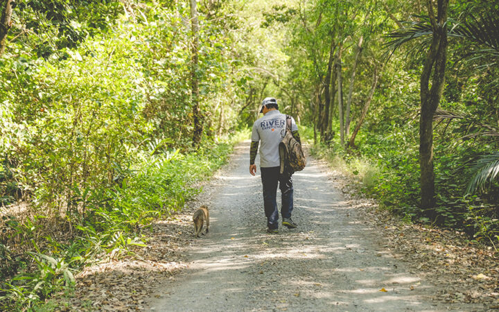 Moneky in Can Gio forest