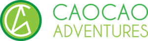Cao Cao Adventure logo
