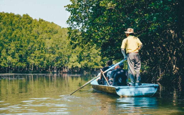 Rowing boat in Can Gio