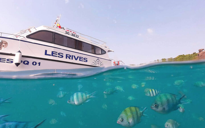 luxury saigon river tours by speedboat