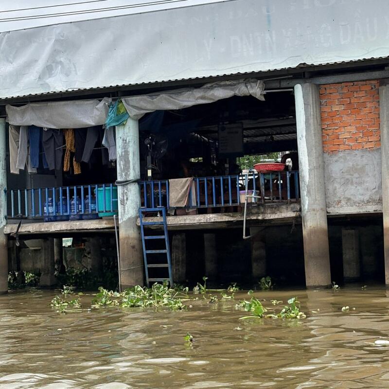 Guest photograph by Jodie S, Mekong Delta