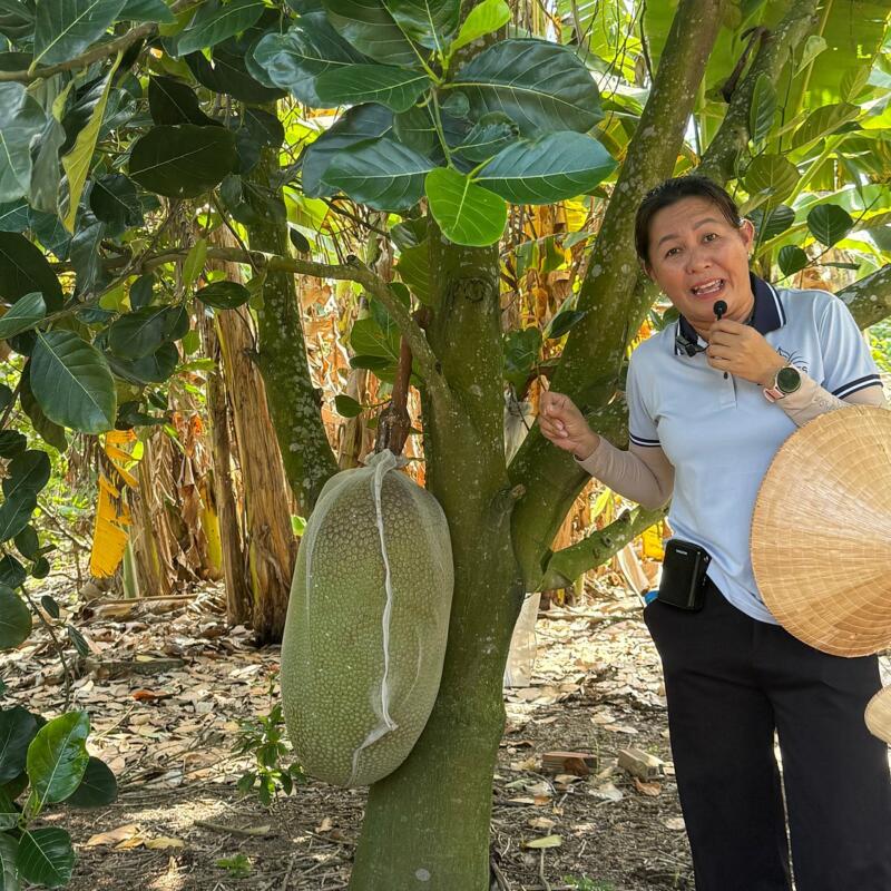 Guest photograph by Kate K, Mekong Delta